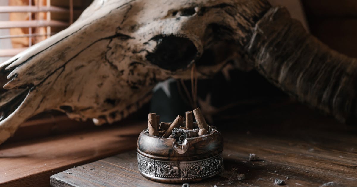 3 day old steak turning brown from the inside out - Old ashtray and cow skull on dusty wooden table 3 day old steak turning brown from the inside out - Old ashtray and cow skull on dusty wooden table