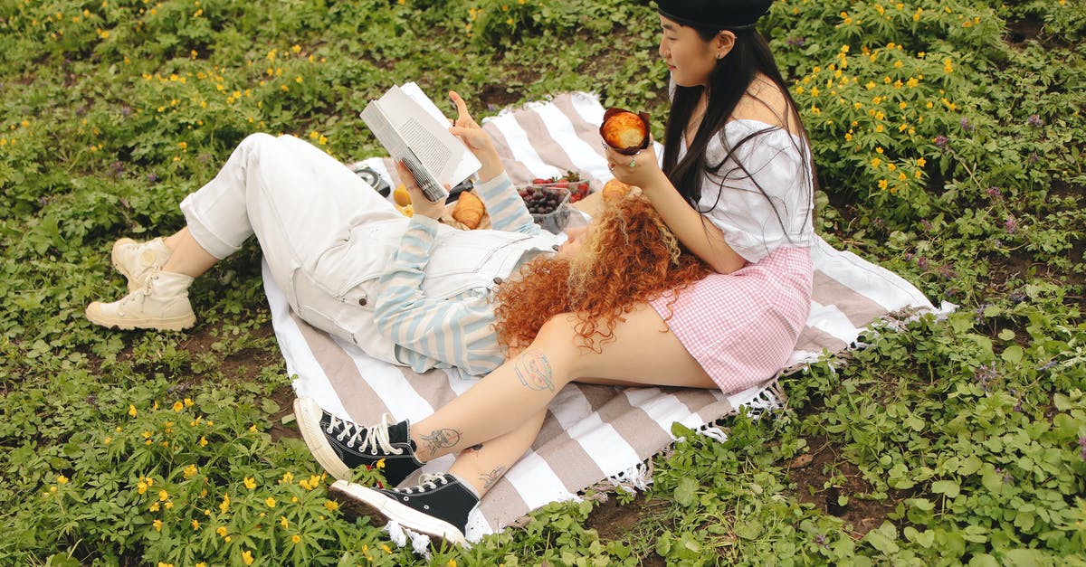 A book about croissants/viennoiserie - Women Having a Picnic