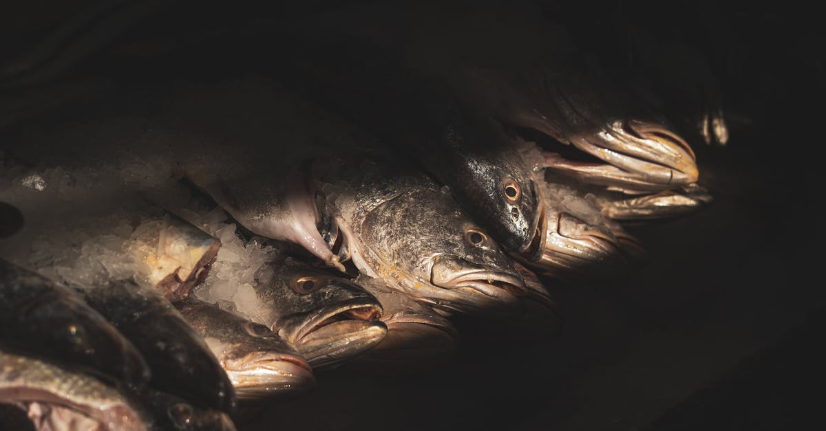 A question of Fishmonger basics and fish processing and handling? - Sunlit Stacked Dead Fish in Darkness A question of Fishmonger basics and fish processing and handling? - Sunlit Stacked Dead Fish in Darkness