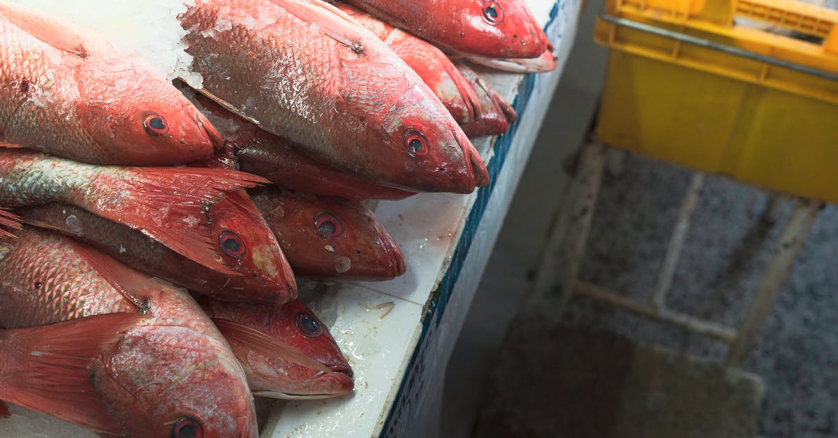 A question of Fishmonger basics and fish processing and handling? - Close up on Frozen Fish on Counter A question of Fishmonger basics and fish processing and handling? - Close up on Frozen Fish on Counter