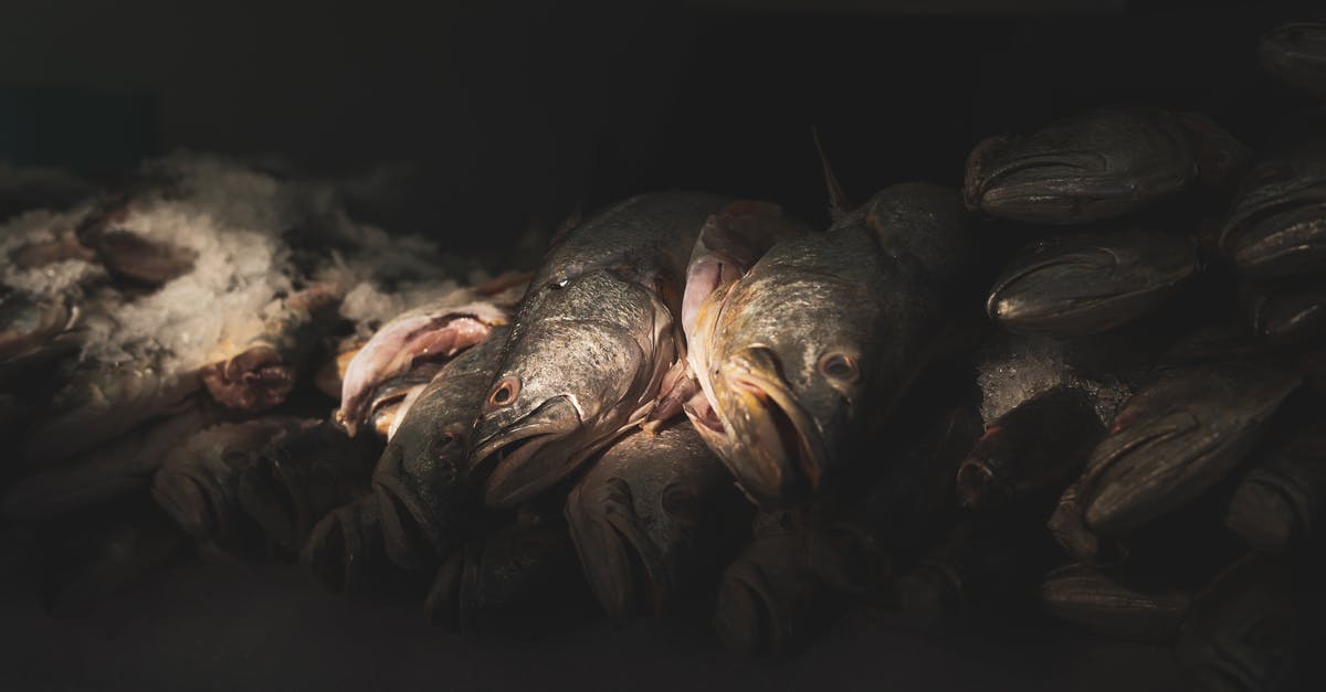 A question of Fishmonger basics and fish processing and handling? - Close up on Stacked Dead Fish A question of Fishmonger basics and fish processing and handling? - Close up on Stacked Dead Fish