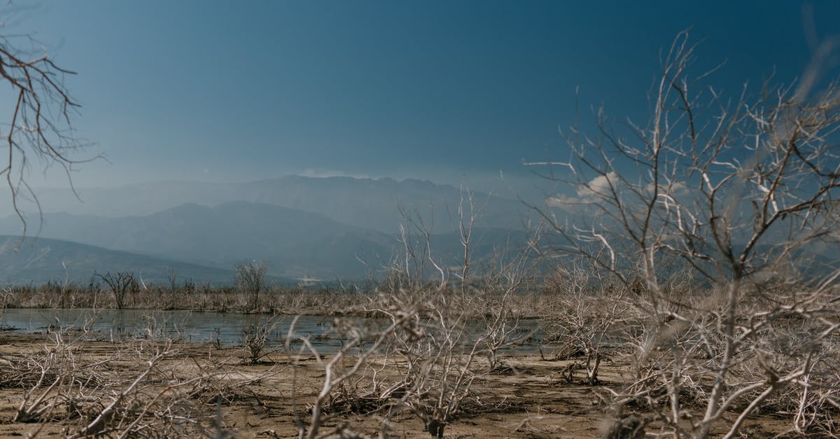 Absorb precipitates when heating water in a microwave? - Dry plants on shore of calm reservoir Absorb precipitates when heating water in a microwave? - Dry plants on shore of calm reservoir