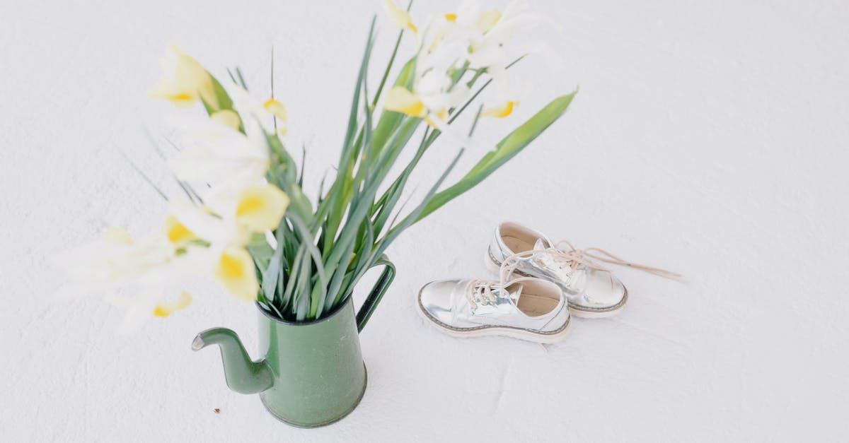 Achieving 'glossy', ultra smooth pudding texture - Flower bouquet in pitcher near glossy sneakers on white background Achieving 'glossy', ultra smooth pudding texture - Flower bouquet in pitcher near glossy sneakers on white background