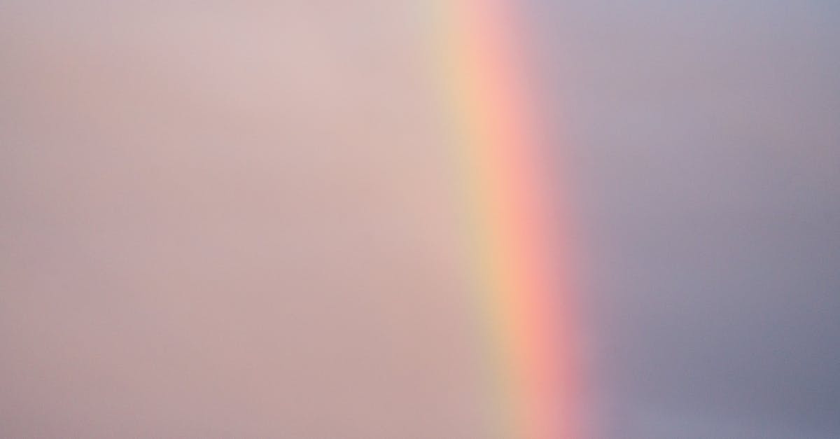 Air Fryer effect on Vegetables? - Picturesque scenery of colorful rainbow effect on cloudless sky in nature on summer day after rain in countryside Air Fryer effect on Vegetables? - Picturesque scenery of colorful rainbow effect on cloudless sky in nature on summer day after rain in countryside