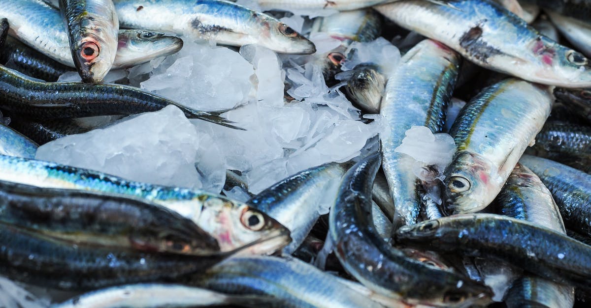 Alternative to fish stock - Fresh Fishes Alternative to fish stock - Fresh Fishes