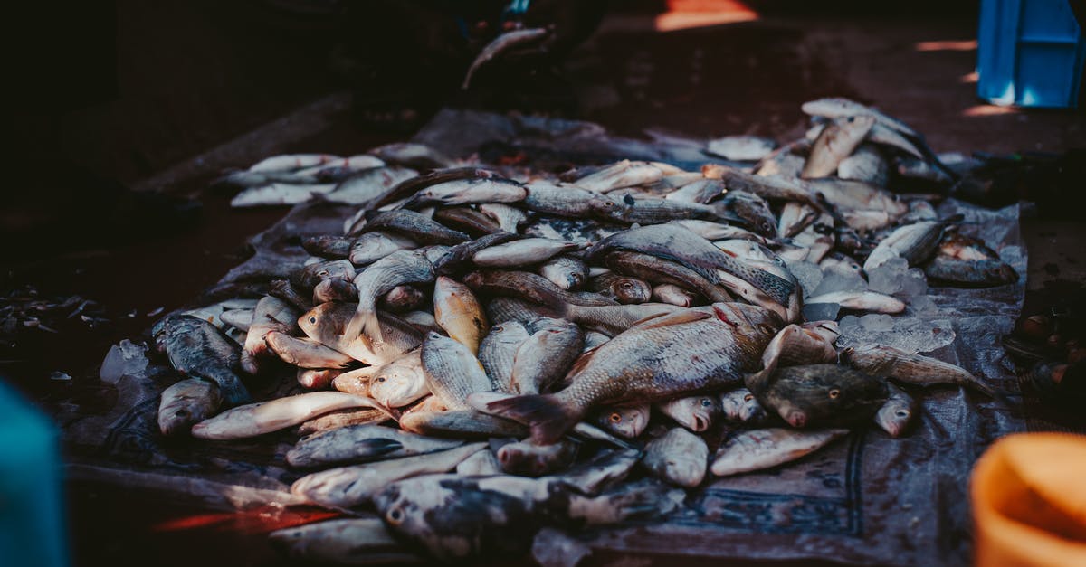 Alternative to fish stock - Pile of Fish Alternative to fish stock - Pile of Fish