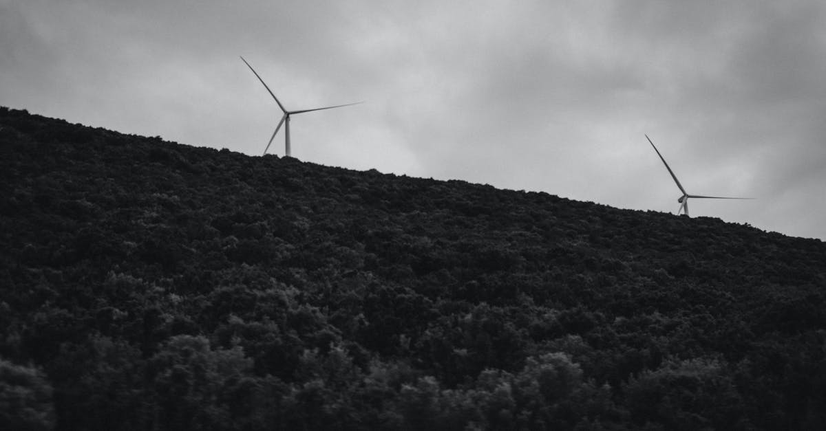 Alternatives to halloumi? - Wind Turbines on Hill Grayscale Photo Alternatives to halloumi? - Wind Turbines on Hill Grayscale Photo