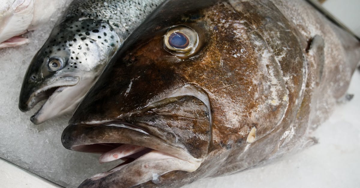 Am I cooking frozen fish safely? - Silver Fish on White Textile Am I cooking frozen fish safely? - Silver Fish on White Textile
