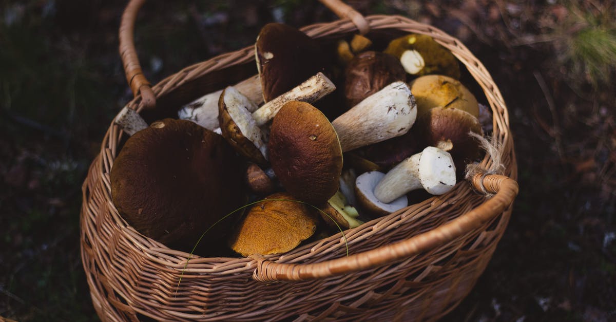 Am I cooking mushrooms wrong? - Brown Wooven Basket Am I cooking mushrooms wrong? - Brown Wooven Basket