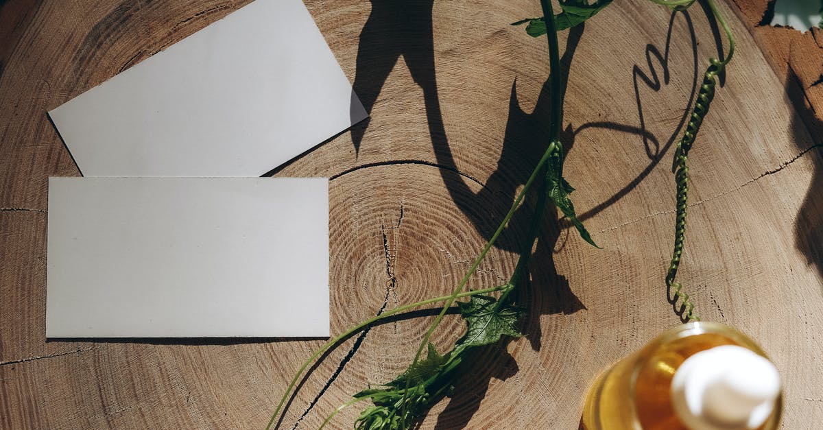 Am I missing out on something by not using parchment paper? - Green Plant on White Paper Am I missing out on something by not using parchment paper? - Green Plant on White Paper