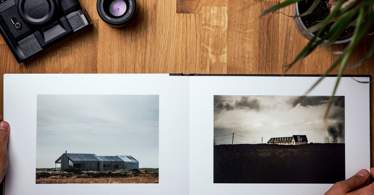 An electronic tool for mixing while the pot is on the fire - Overhead view of pictures in opened photo album composing with pot plant and modern photo camera next to lens on wooden table in bright room