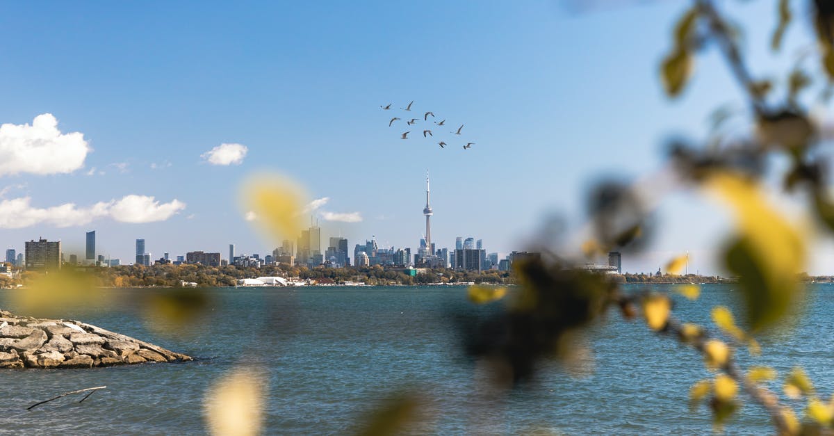 Are Choy Sum and Gai Lan grown in Canada or US? - People on Beach Are Choy Sum and Gai Lan grown in Canada or US? - People on Beach