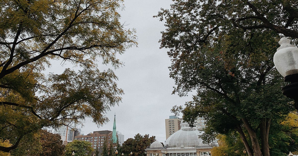 Are Choy Sum and Gai Lan grown in Canada or US? - Green Trees Near White Building Are Choy Sum and Gai Lan grown in Canada or US? - Green Trees Near White Building