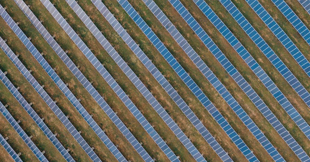 Are cockroaches a usable source of protein? - Textured background of solar panels in countryside field Are cockroaches a usable source of protein? - Textured background of solar panels in countryside field