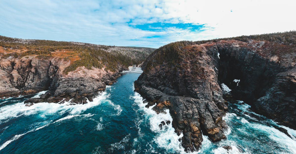Are cockroaches a usable source of protein? - Scenery of river head stream on rocky coastline Are cockroaches a usable source of protein? - Scenery of river head stream on rocky coastline