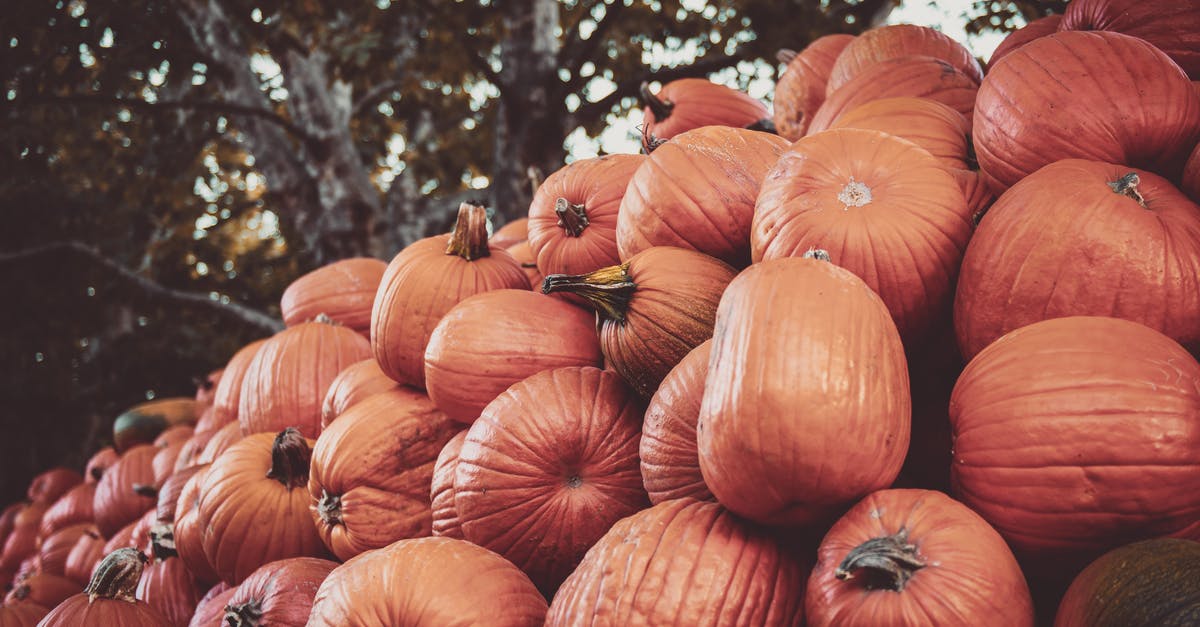 Are gourd leaves edible? - Photo of Pumpkins Are gourd leaves edible? - Photo of Pumpkins