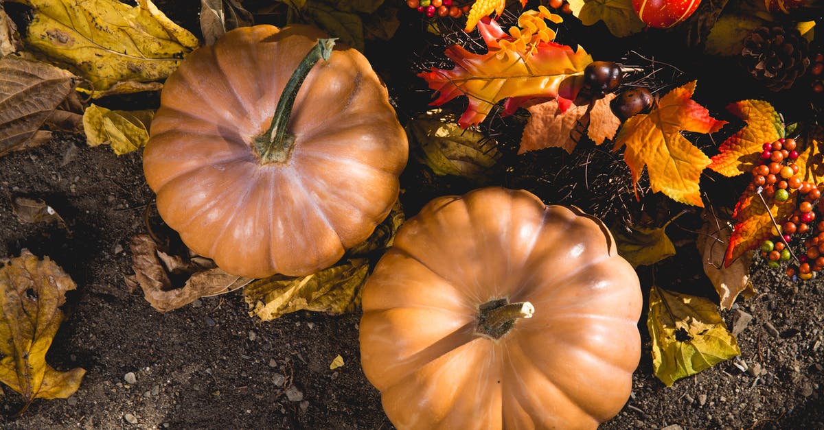Are gourd leaves edible? - Two Pumpkins on Ground Are gourd leaves edible? - Two Pumpkins on Ground