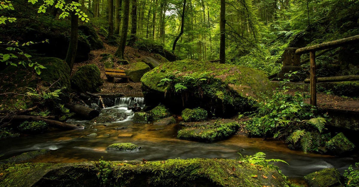 Are Green Potatoes OK? - Waterfalls in Forest Are Green Potatoes OK? - Waterfalls in Forest