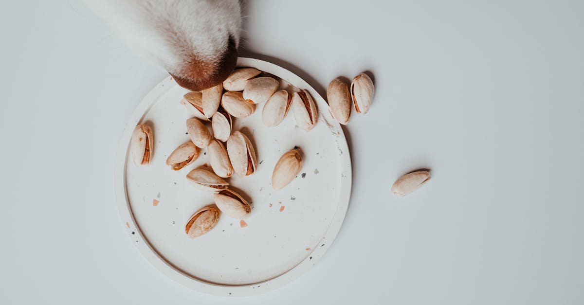 Are "shelled nuts" with or without their shells? - A Dog Smelling the Pistachios Are "shelled nuts" with or without their shells? - A Dog Smelling the Pistachios