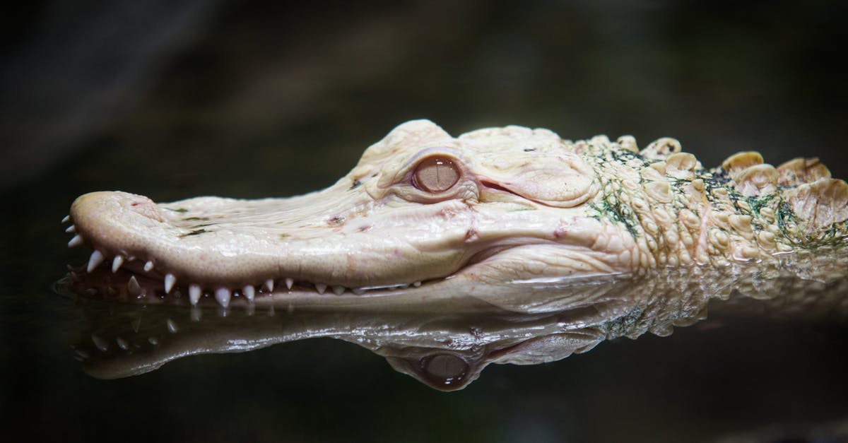 Are rotting potatoes dangerous when coming in contact with skin? - Close Up of Alligator Head Are rotting potatoes dangerous when coming in contact with skin? - Close Up of Alligator Head