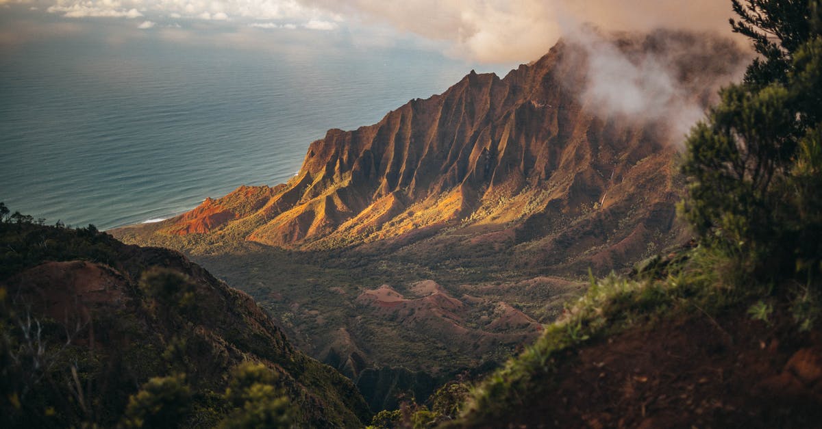 are the larger snails in Hawaii edible? - Brown Mountains are the larger snails in Hawaii edible? - Brown Mountains