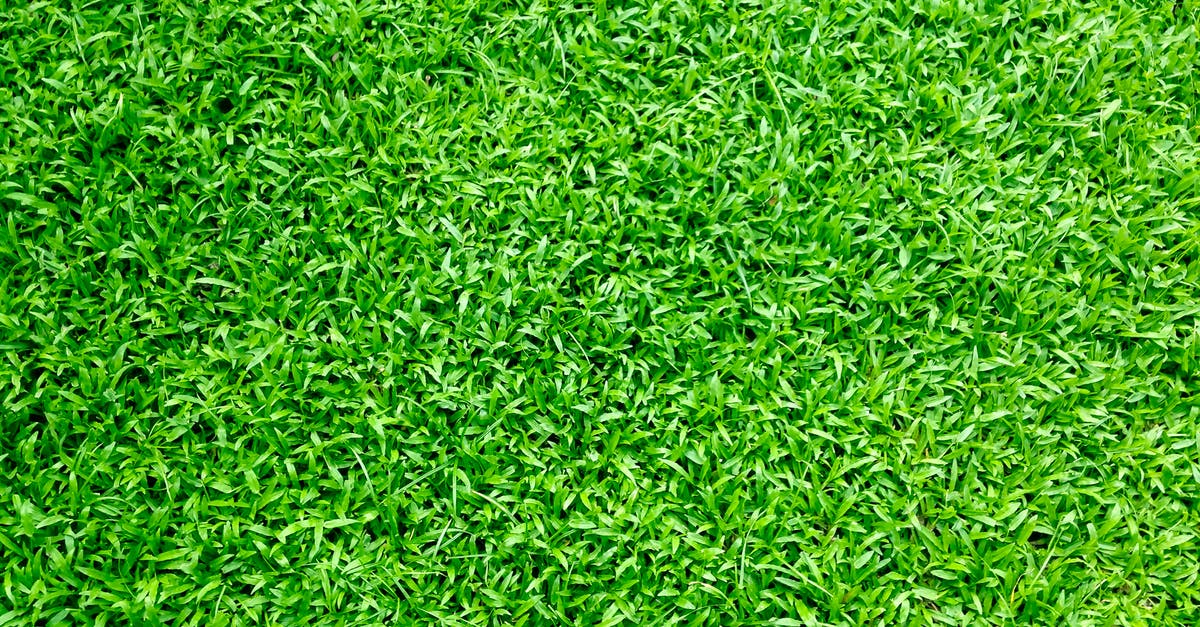 Are there any advantages to freshly ground salt? - Green Grass Are there any advantages to freshly ground salt? - Green Grass