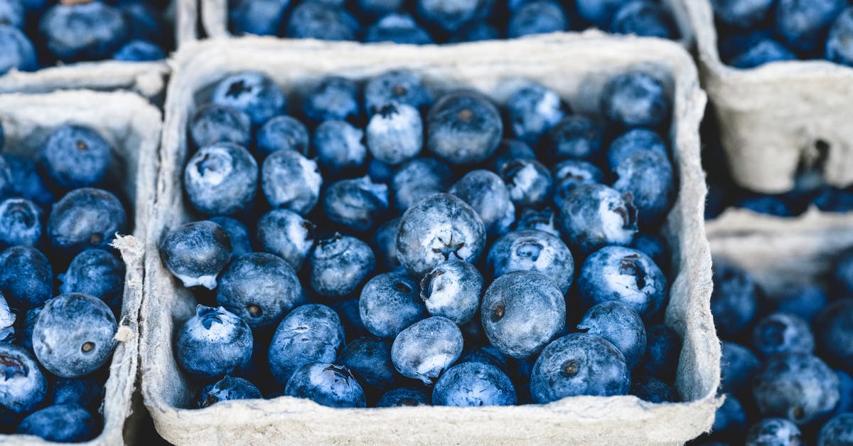 Are there blue foods out there? - Blueberry Fruit on Gray Container Are there blue foods out there? - Blueberry Fruit on Gray Container
