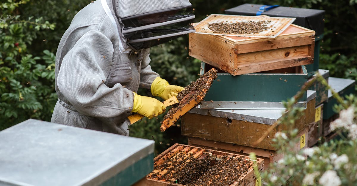 Are there food combinations that are dangerous? - Anonymous apiarist in uniform standing near beehive and holding honeycomb while collecting honey Are there food combinations that are dangerous? - Anonymous apiarist in uniform standing near beehive and holding honeycomb while collecting honey