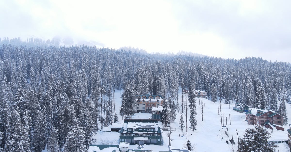 Are there negative effects of freezing clarified stock? - White and Black House Surrounded by Trees Are there negative effects of freezing clarified stock? - White and Black House Surrounded by Trees
