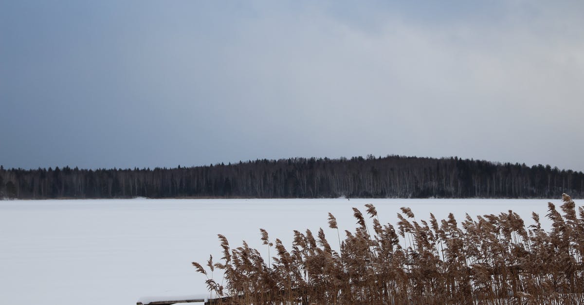 Are there negative effects of freezing clarified stock? - Brown Grass Near Body of Water Are there negative effects of freezing clarified stock? - Brown Grass Near Body of Water