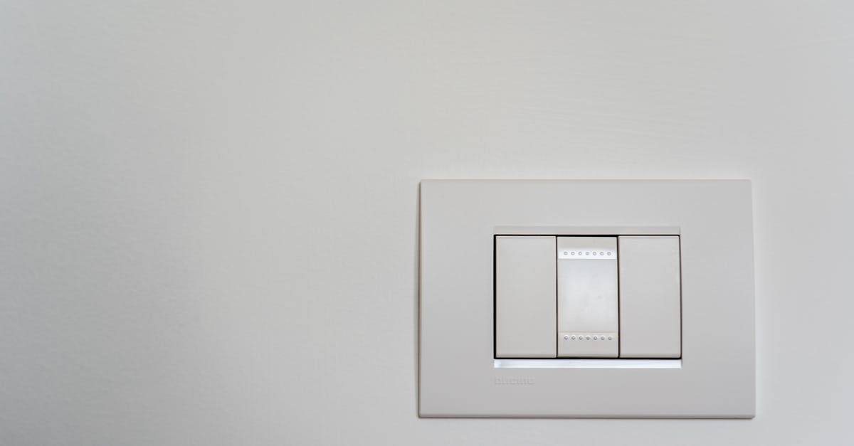 Are there "home" category powered refrigerated plates? - White Light Switch on White Painted Wall Are there "home" category powered refrigerated plates? - White Light Switch on White Painted Wall