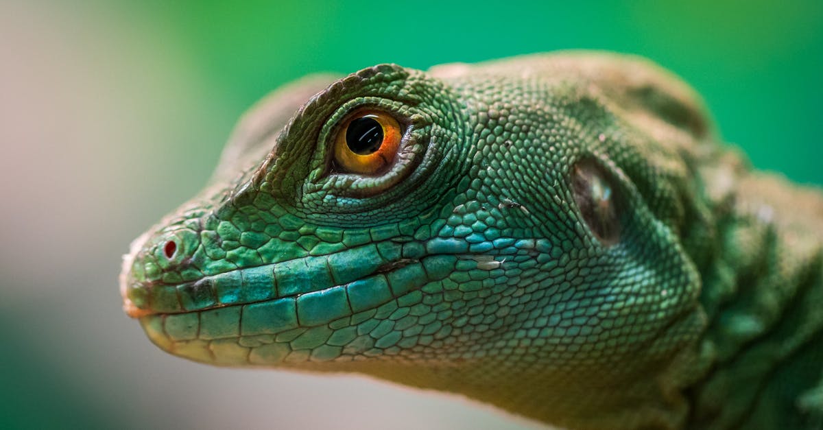 Are there similar scales like the Scoville scale? - Green Reptile Are there similar scales like the Scoville scale? - Green Reptile