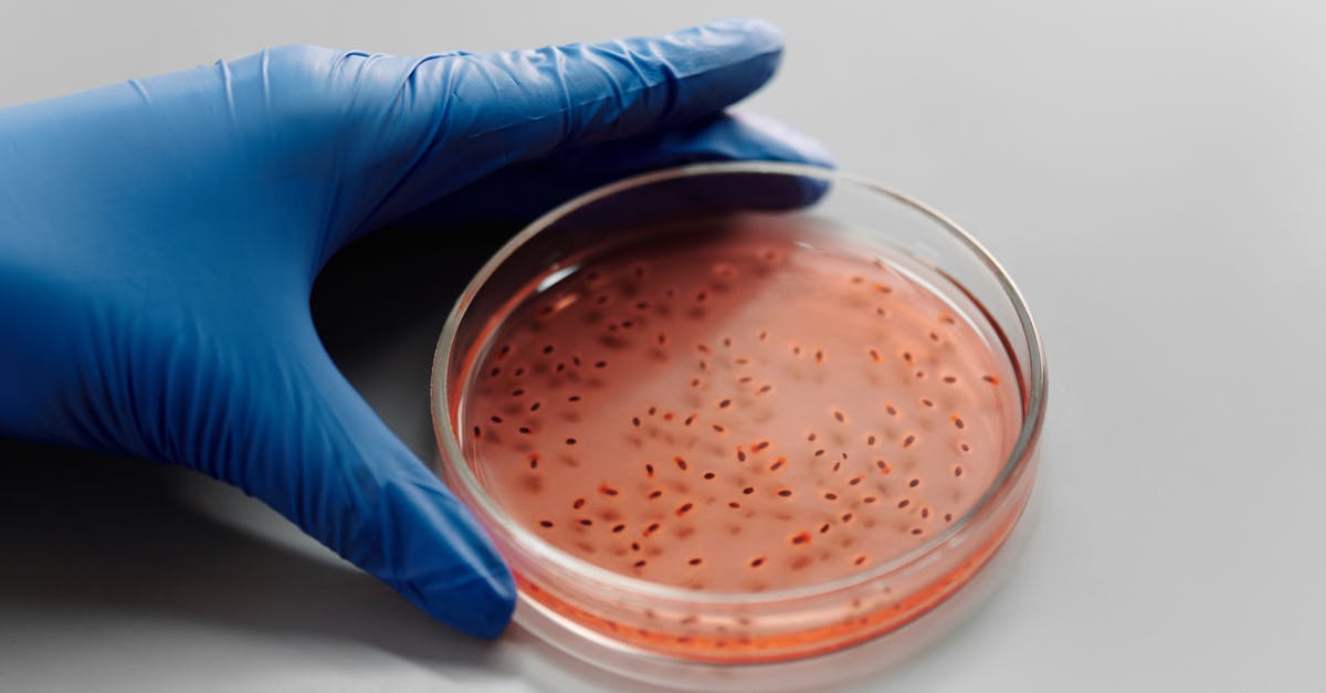 Are these bacteria colonies in my canned sardines? - Close Up Photo of Petri Dish with Specimen Are these bacteria colonies in my canned sardines? - Close Up Photo of Petri Dish with Specimen