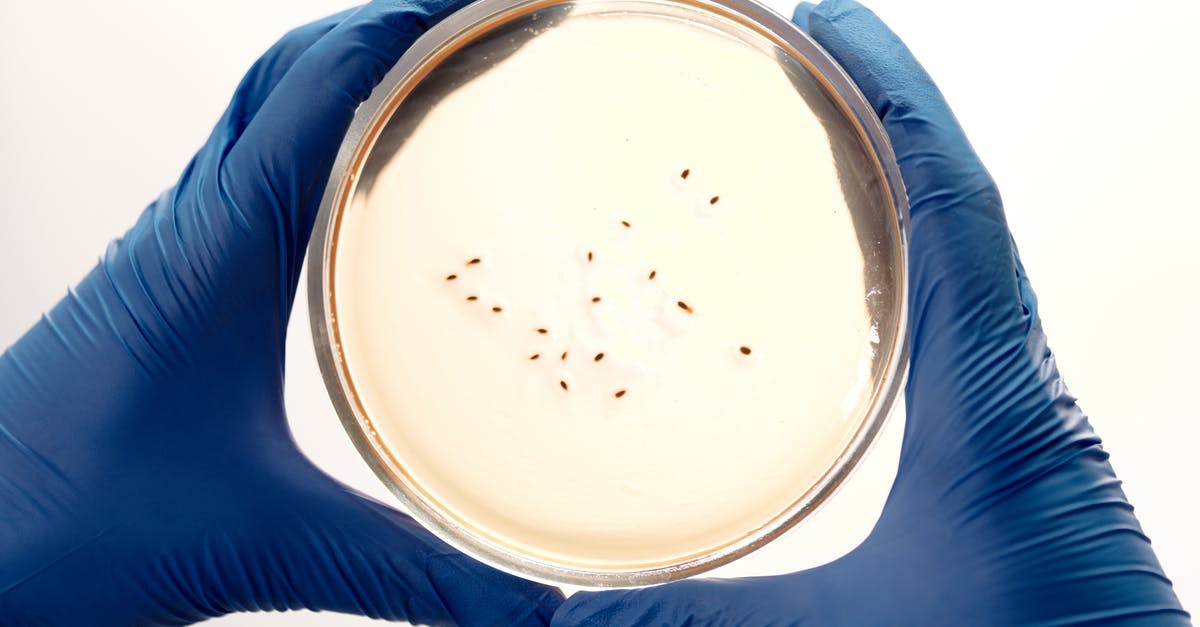 Are these bacteria colonies in my canned sardines? - Live Bacteria Are these bacteria colonies in my canned sardines? - Live Bacteria