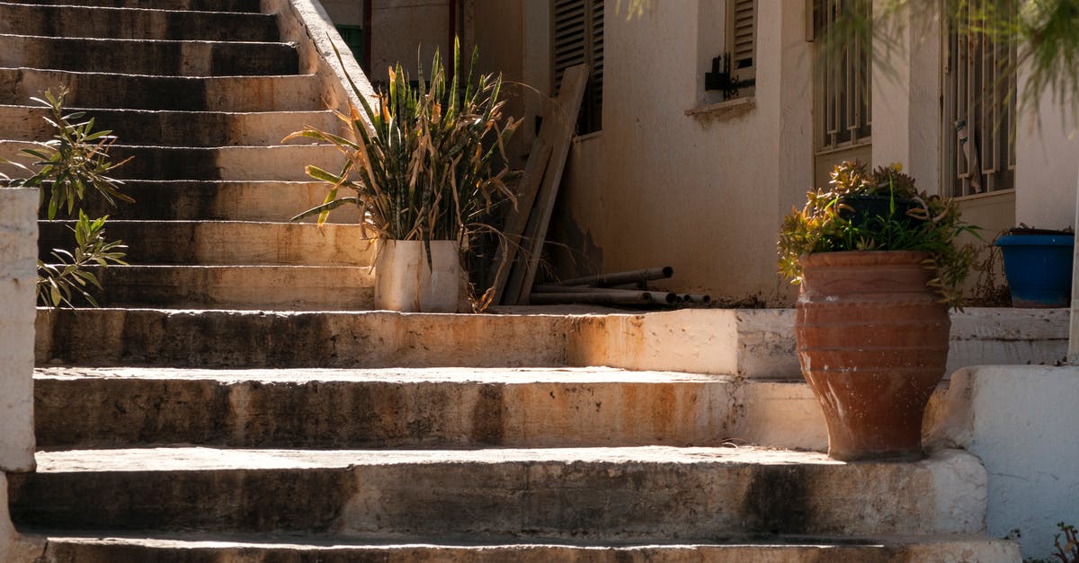 At what step is the difference made between a quesadilla and burrito? - Old shabby stairs with potted plants in sunlight At what step is the difference made between a quesadilla and burrito? - Old shabby stairs with potted plants in sunlight