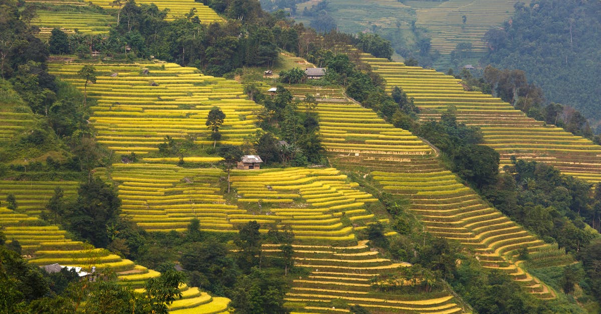 Attempting Tartine's basic country bread - Rice Terraces Attempting Tartine's basic country bread - Rice Terraces