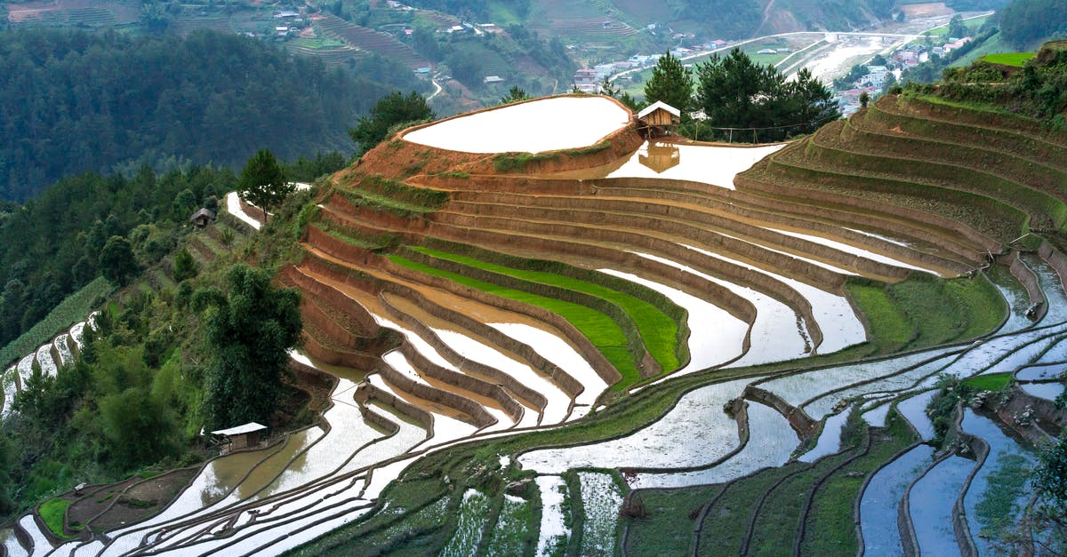 Attempting Tartine's basic country bread - Terraces With Water Attempting Tartine's basic country bread - Terraces With Water