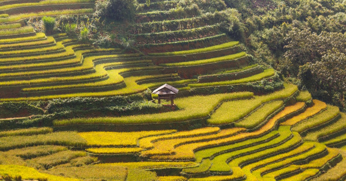 Attempting Tartine's basic country bread - Rice Terraces Attempting Tartine's basic country bread - Rice Terraces