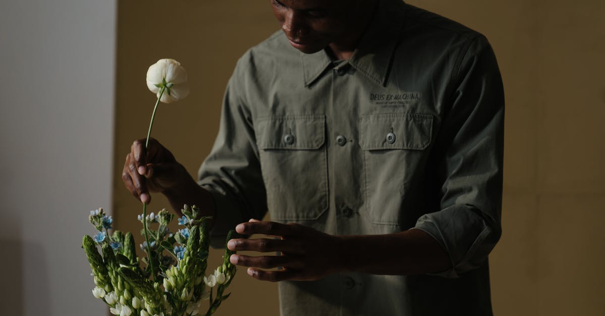 Béchamel and pomodoro - Man in Gray Dress Shirt Holding White Flower Béchamel and pomodoro - Man in Gray Dress Shirt Holding White Flower