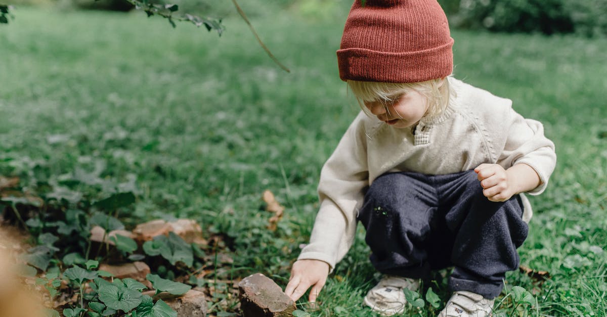 Backyard mint too grassy - Interested little boy exploring stone Backyard mint too grassy - Interested little boy exploring stone
