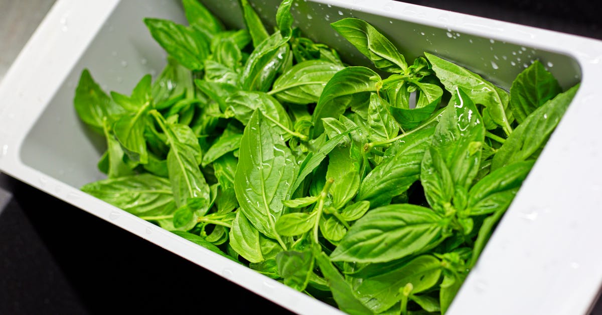 Basil - to wash or not to wash? Best practices? - From above of plastic container in kitchen sink full of fresh green leaves of basil Basil - to wash or not to wash? Best practices? - From above of plastic container in kitchen sink full of fresh green leaves of basil
