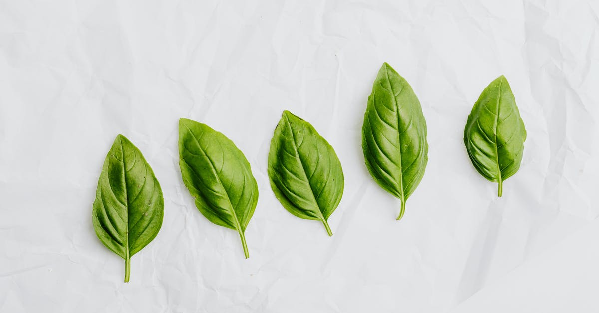 Basil lookalike that tastes like aniseed. - Green Leaves on White Surface Basil lookalike that tastes like aniseed. - Green Leaves on White Surface
