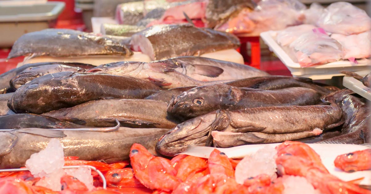 Basque cod with sous-vide - Fishes in a Wet Market