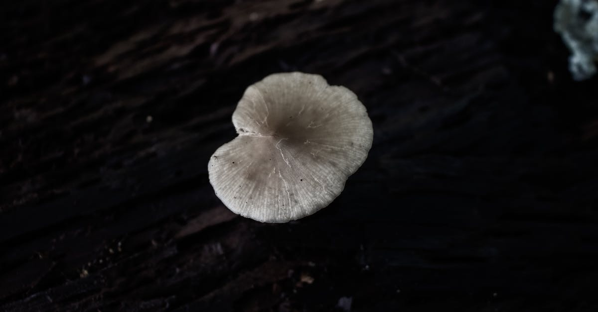 Beets have a fungus - Free stock photo of black amp white, cap, close-up Beets have a fungus - Free stock photo of black amp white, cap, close-up