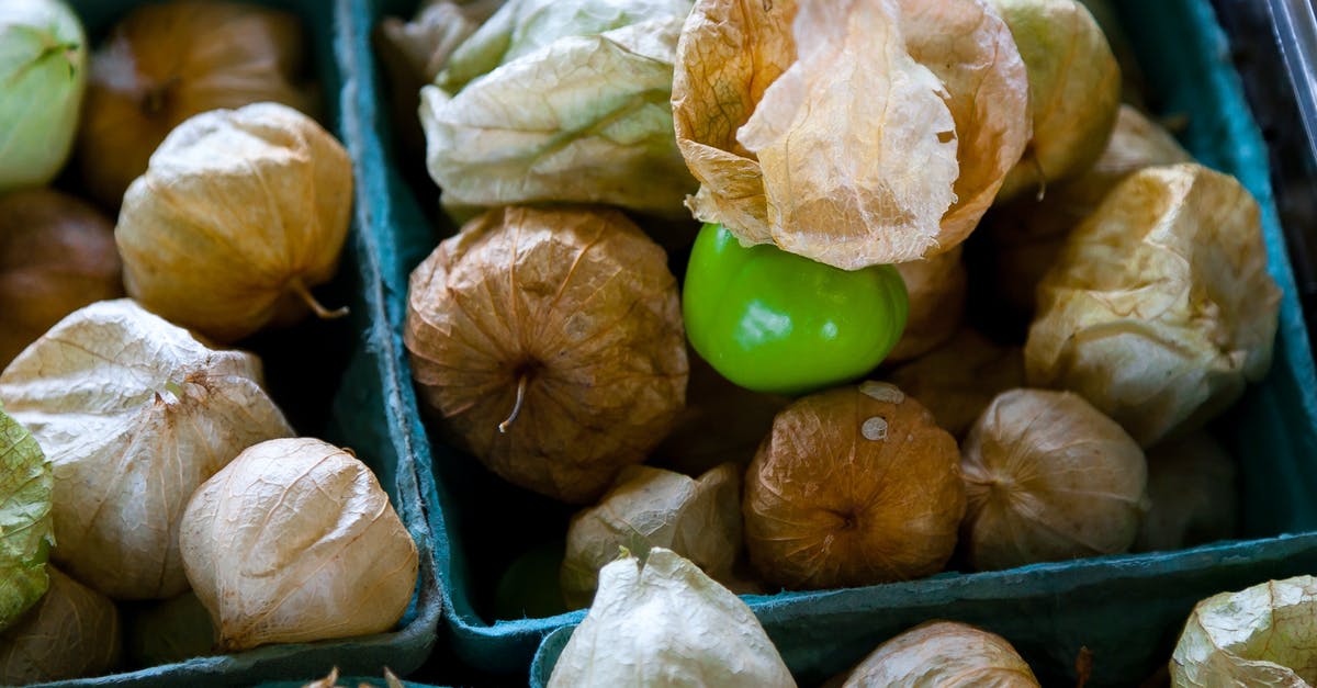 Best Practices for Cooking with Psyllium Husk? - Dried Tomatillos on Blue Containers Best Practices for Cooking with Psyllium Husk? - Dried Tomatillos on Blue Containers