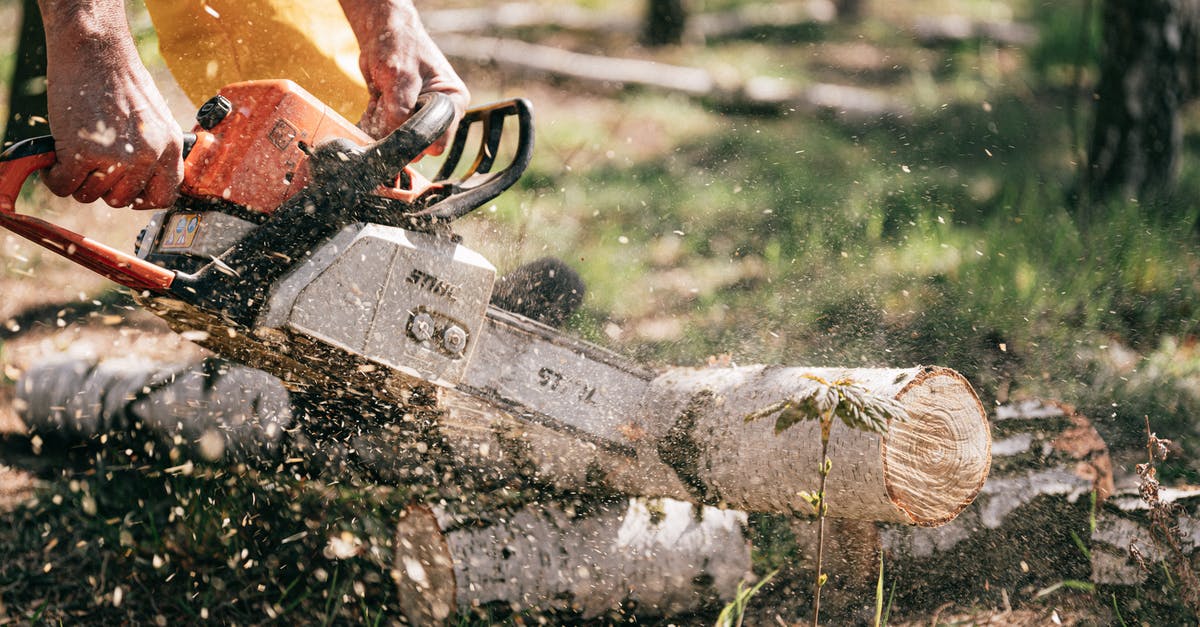 Best tool for quickly cutting vegetables into a salad? - Person Holding Chainsaw Best tool for quickly cutting vegetables into a salad? - Person Holding Chainsaw