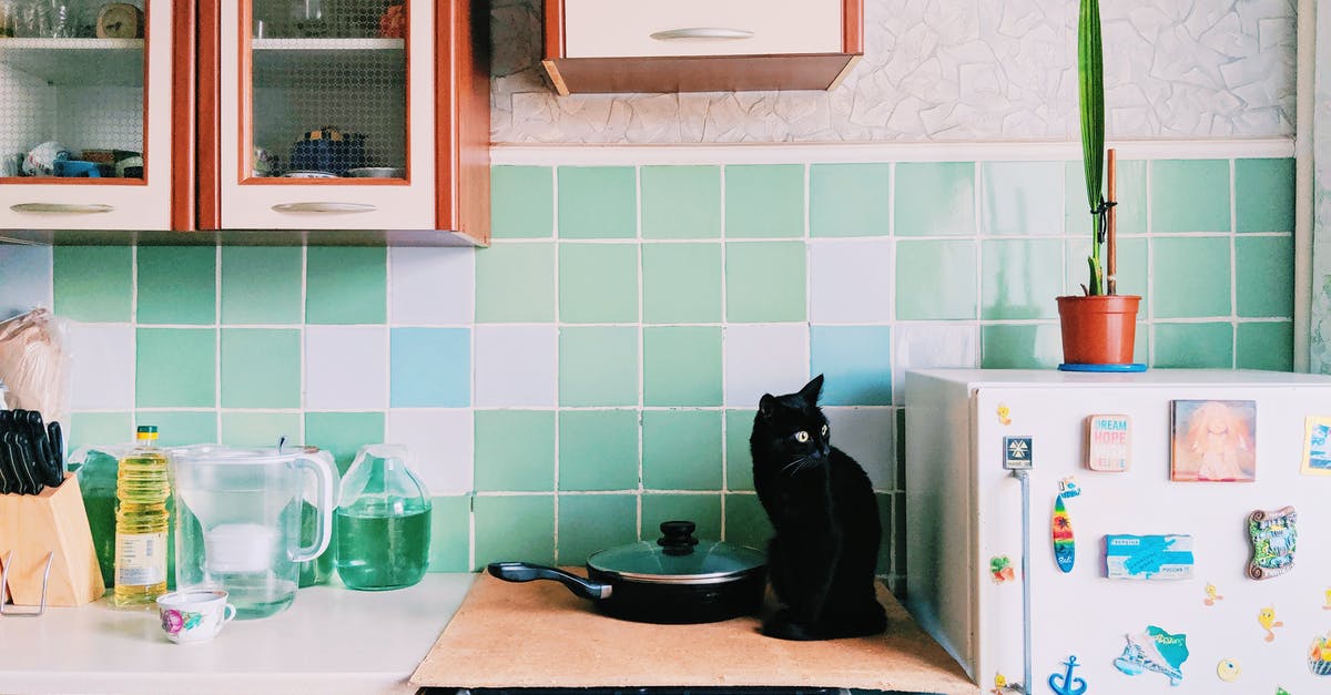 Black residue inside frying pan - Cat sitting on stove in kitchen with cupboards Black residue inside frying pan - Cat sitting on stove in kitchen with cupboards