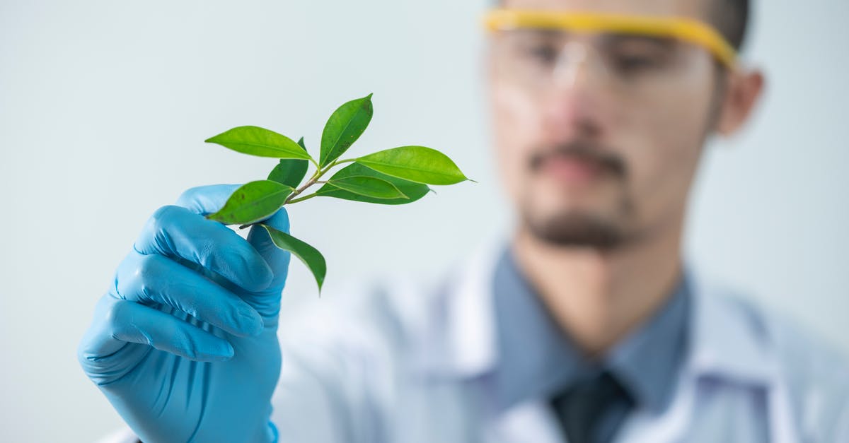 Blending pineapples and coconuts whole, safety and experience? - Person Holding Green-leafed Plant
