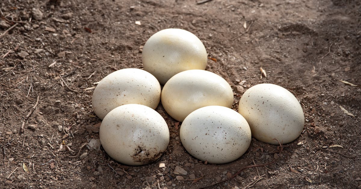 Breading/Crumbing Chicken in their own eggs - Eggs on Brown Soil Breading/Crumbing Chicken in their own eggs - Eggs on Brown Soil