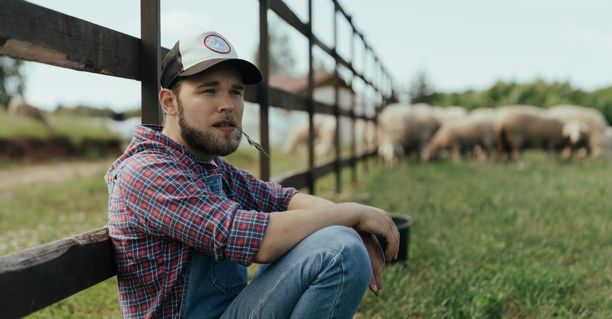 Breaking down a lamb "square shoulder" - Man in Red Blue and White Plaid Dress Shirt and Blue Denim Jeans Sitting on Green Breaking down a lamb "square shoulder" - Man in Red Blue and White Plaid Dress Shirt and Blue Denim Jeans Sitting on Green